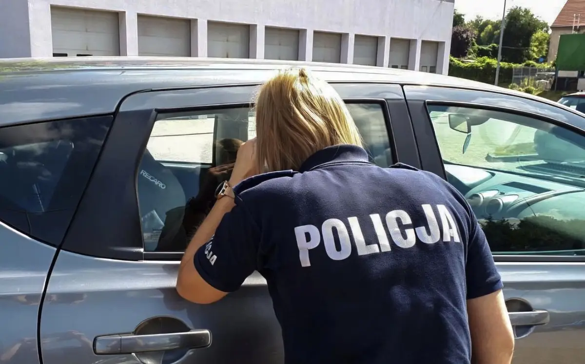 Zagrożenie zdrowia podczas upałów: Nie zostawiaj dzieci i zwierząt w samochodzie