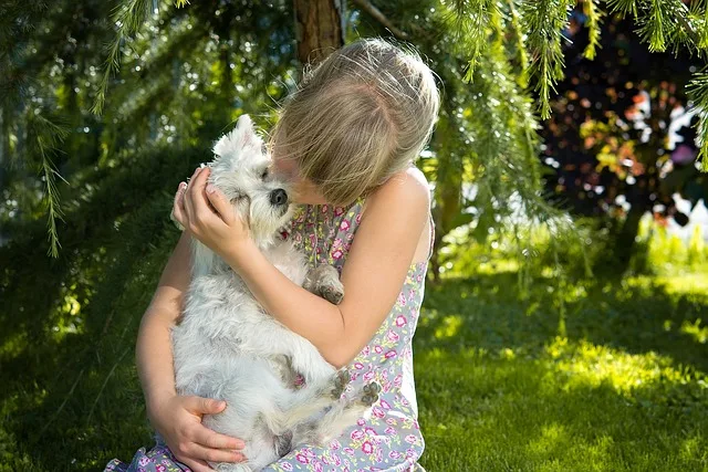Ogłoszenie o konkursie o Nagrodę Przyjaciela Zwierząt "Cztery łapy"