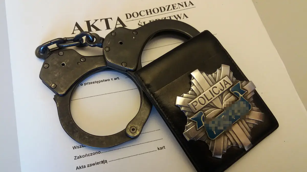 Środki zapobiegawcze wobec podejrzanego o znęcanie się nad rodziną